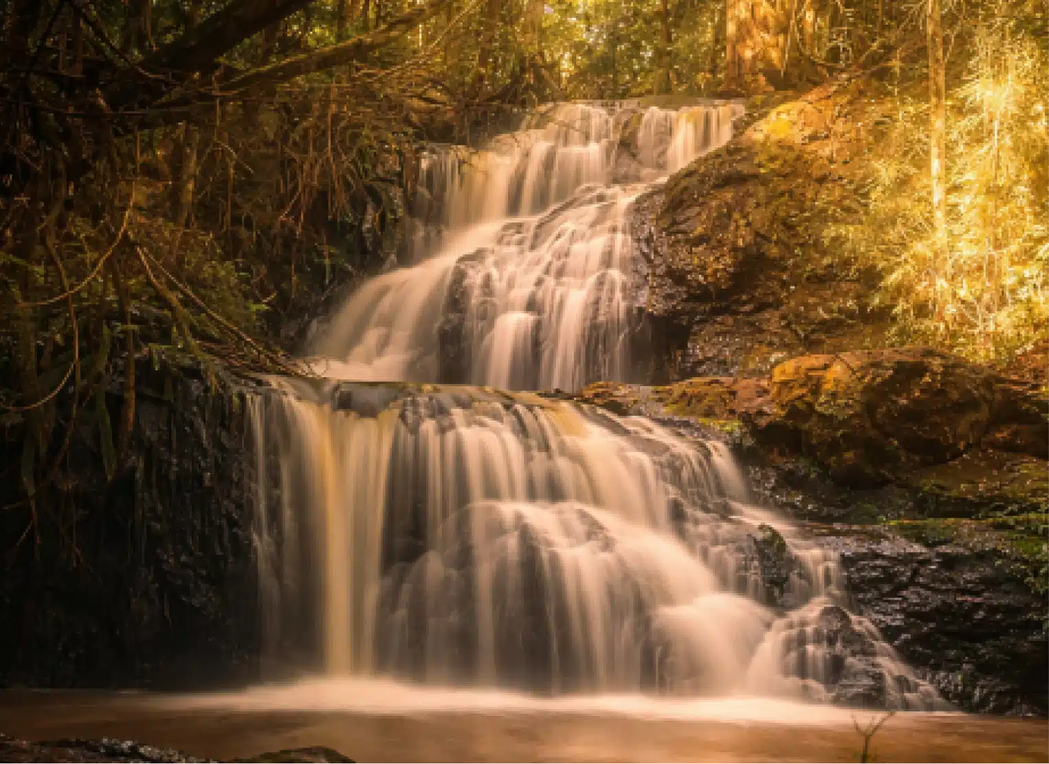 Nature in the City: Nairobi's Outdoor Escapes