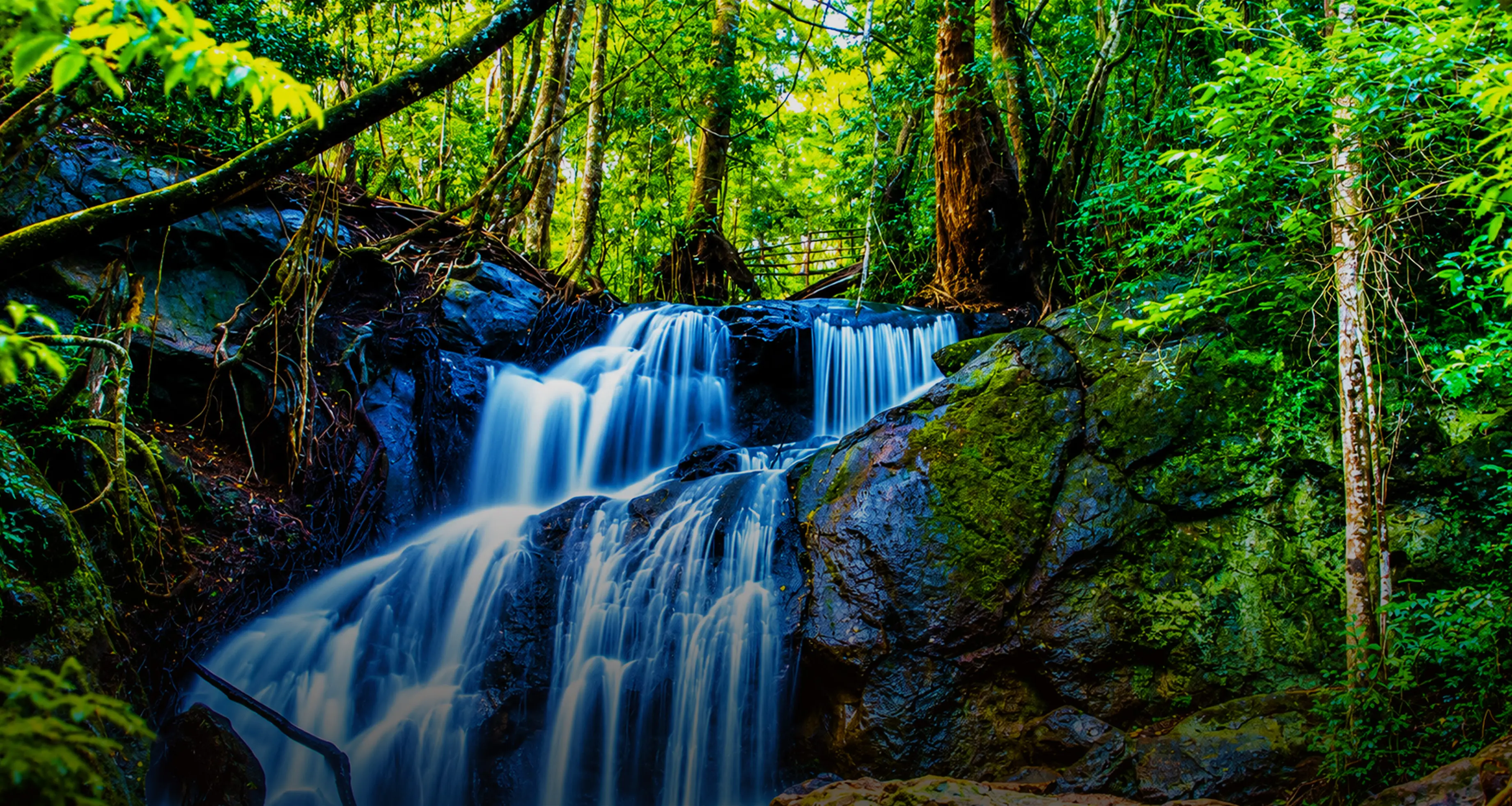 Karura Forest