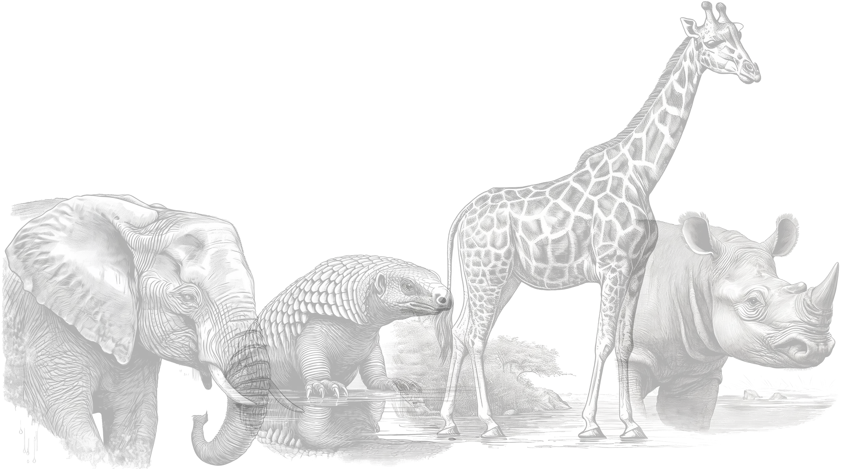 Friends of Nairobi National Park